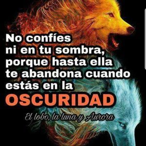 Meet your Posher, Henry